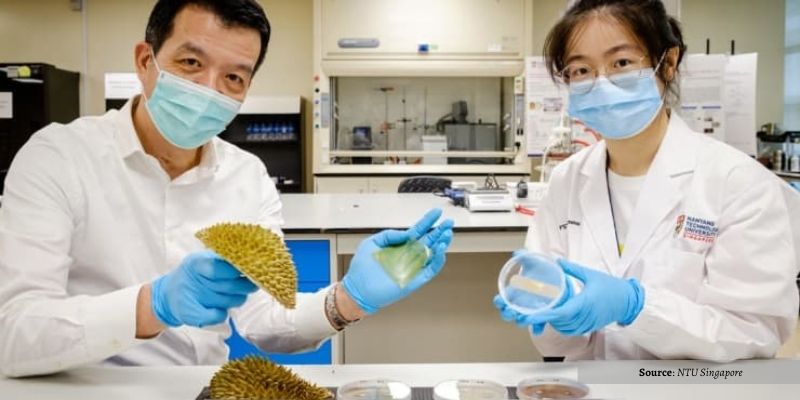Ilmuwan Singapura Mengubah Limbah Durian Menjadi Perban. Bagaimana Prosesnya?
