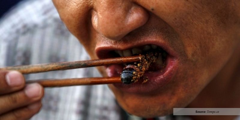 Manfaat Mengonsumsi Serangga yang Tepat! Memberikan Nutrisi Bagi Tubuh Dan Membuat Bumi Lebih Baik