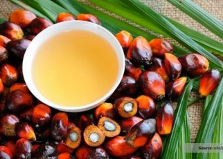 Benarkah Asam Lemak Minyak Sawit Dapat Membantu Penyebaran Kanker?