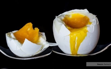 Manfaat Mengonsumsi Telur Bagi Tubuh