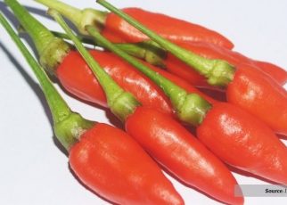 Harga Cabai Makin Pedas! Ibu Rumah Tangga Geleng-Geleng