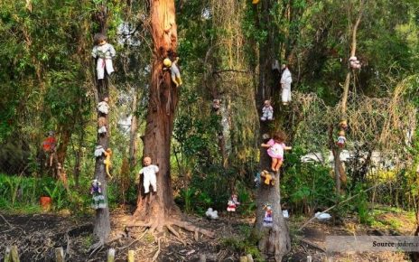Island of the Dead Dolls, Xochimilco, Meksiko