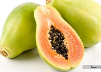 Beragam Manfaat Pepaya Setengah Matang