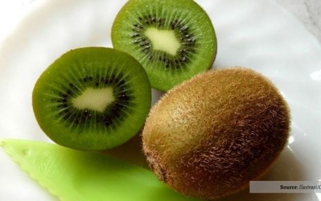 Manfaat Kulit Buah Kiwi. Ada Antioksidannya!
