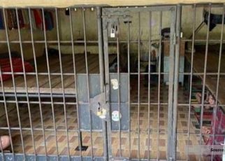 Salah Satu Penghuni Kerangkeng Bupati Langkat Nonaktif Luka Lebam