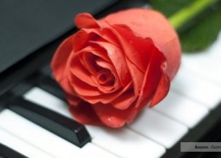 Playlist Romantis untuk Temanimu di Hari Valentine