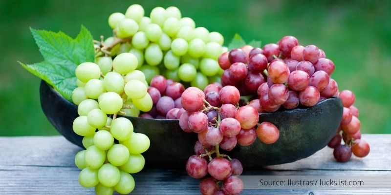Apakah Anda Suka Buah Anggur? Berikut 10 Manfaatnya Bagi Kesehatan dan Kecantikan