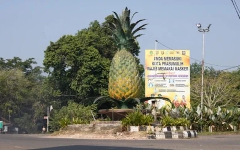 Prabumulih Dijuluki Sebagai Kota Nanas