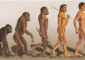 Asal Muasal Manusia