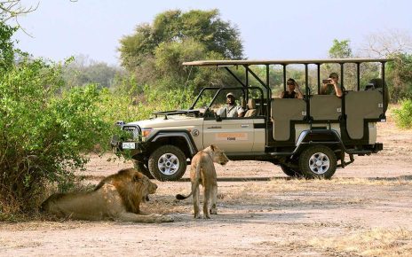 Gorongosa National Park, Mozambique – Taman yang kembali pulih dengan satwa liar yang beragam