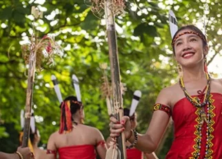 Budaya Dayak Wehea
